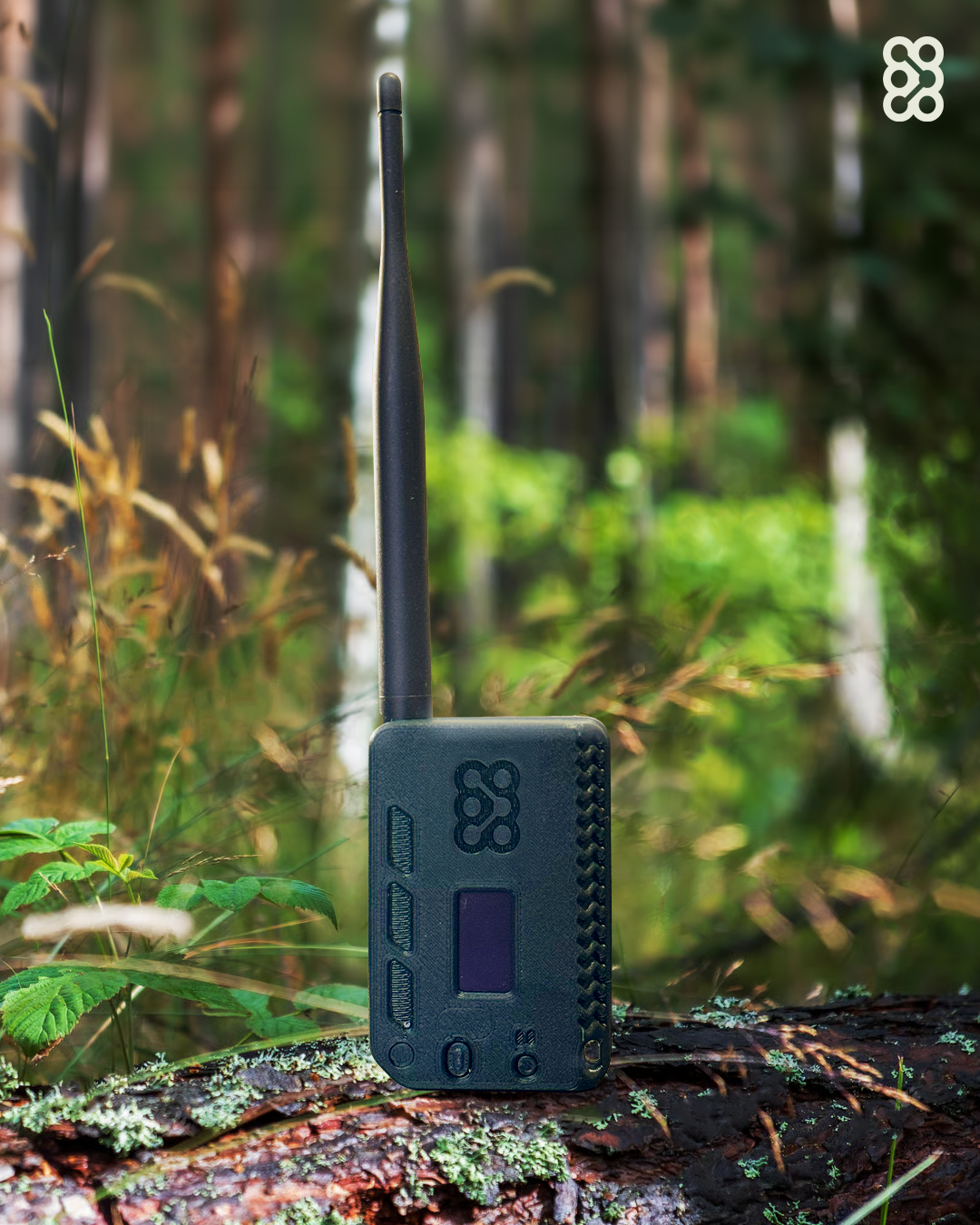 An RNode being used outdoors, deep in the woods
