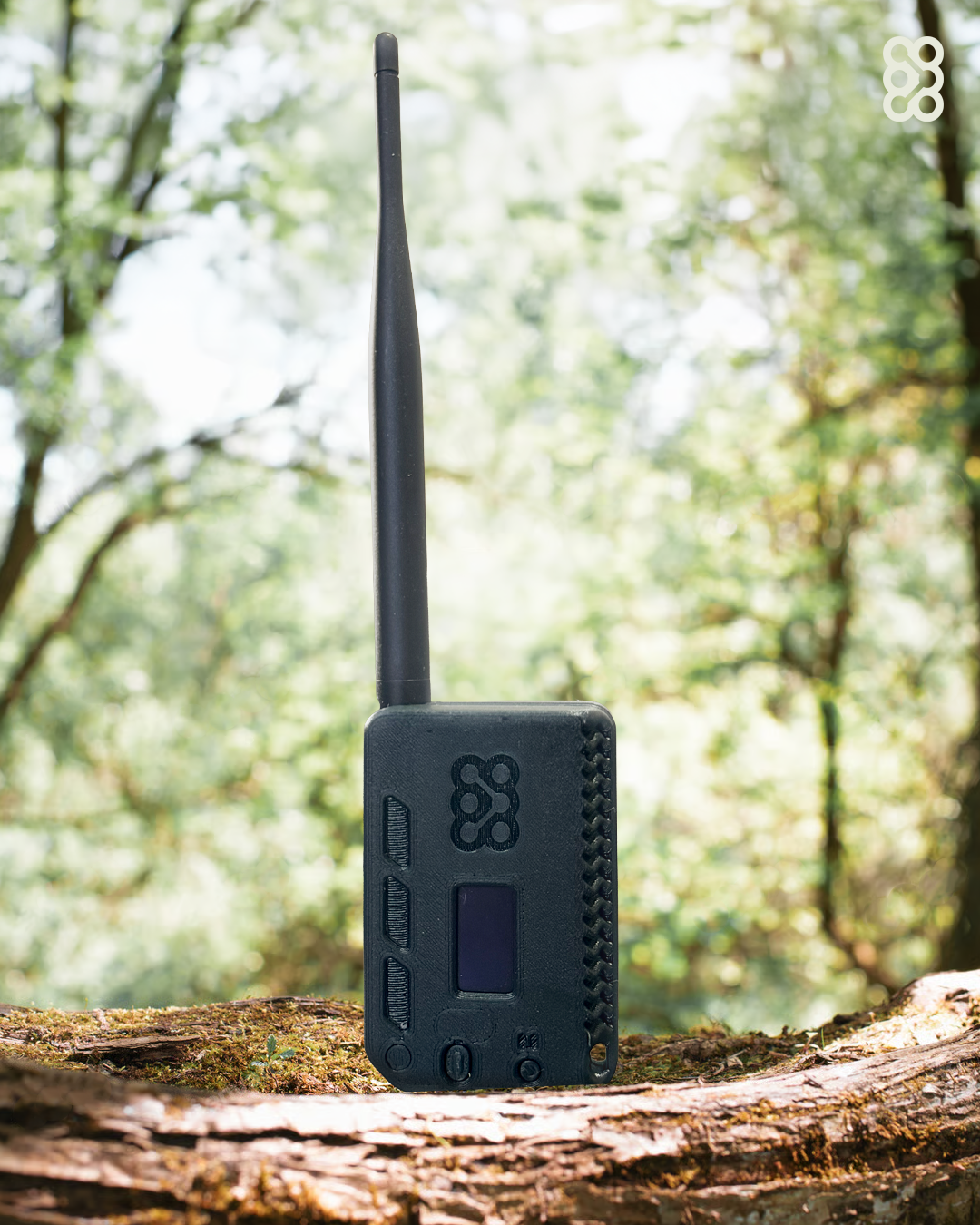 Using an RNode on a forested trail